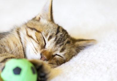 Viltu auka vellíðan og bæta svefn?